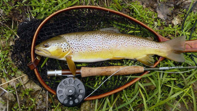 Hooked fish fishing rod reel free wallpaper for desktop - medium preview image