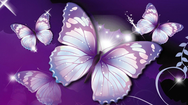 Purple background butterflies flying star #3 free wallpaper for desktop - medium preview image