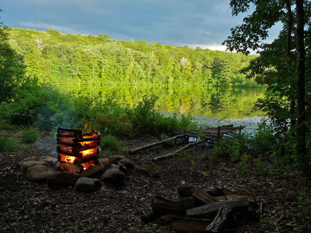 Campfire forest lake trees night free wallpaper for desktop - medium preview image