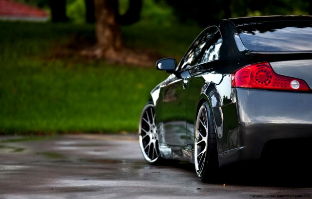 Car parked wet lot tree free wallpaper for desktop - medium preview image