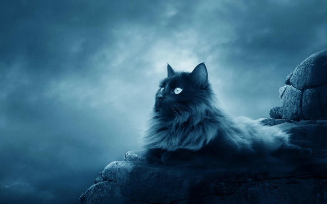 Cat rock dark cloudy blue free wallpaper for desktop - medium preview image