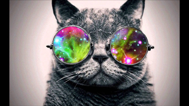 Cat glasses galaxy colorful pattern free wallpaper for desktop - medium preview image