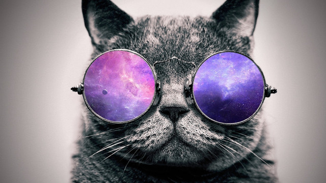 Cat glasses purple blue sky free wallpaper for desktop - medium preview image