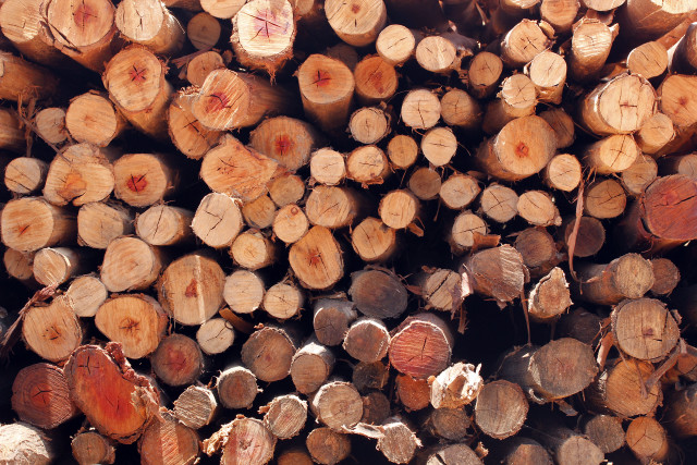 Cut logs grass dirt sky free wallpaper for desktop - medium preview image