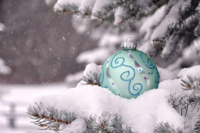 Blue ornament pine tree snow free wallpaper for desktop - medium preview image