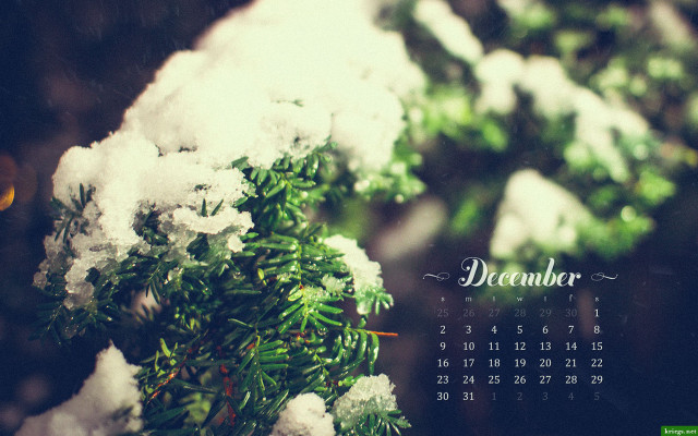 Calendar tree branch snow snowflakes free wallpaper for desktop - medium preview image