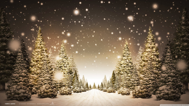 Snowy scene trees snow falling #3 free wallpaper for desktop - medium preview image