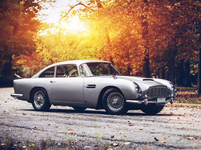 Silver car forest autumn leaves free wallpaper for desktop - medium preview image