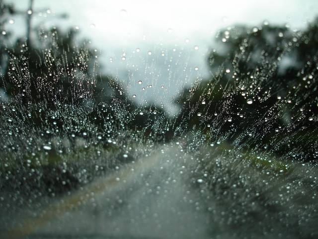 Rain covered windshield trees street free wallpaper for desktop - medium preview image