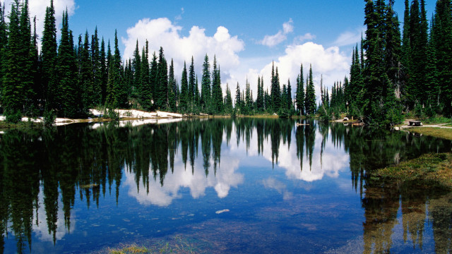 Lake trees clouds sky water free wallpaper for desktop - medium preview image