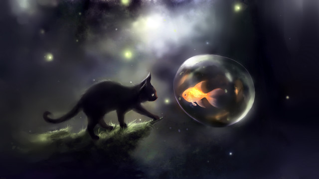 Cat fish bubble ball night free wallpaper for desktop - medium preview image