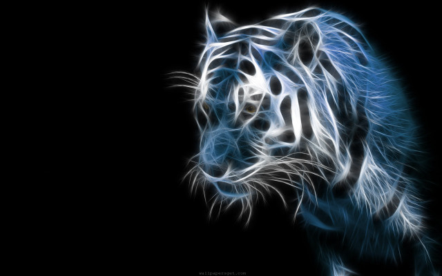 Blue tiger dark black background free wallpaper for desktop - medium preview image