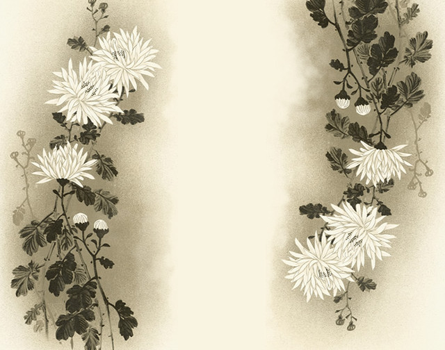 Drawing flowers wall white background free wallpaper for desktop - medium preview image