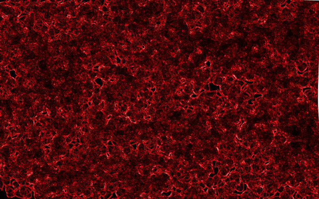 Red black white borders generative free wallpaper for desktop - medium preview image