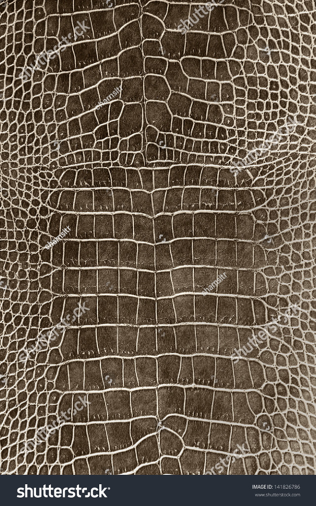 Crocodile skin texture brown background free wallpaper for mobile - medium preview image