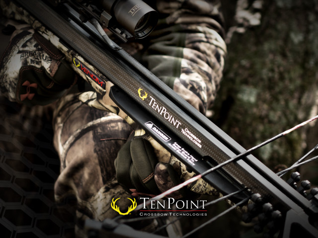 Man holding bow hunting outfit free wallpaper for desktop - medium preview image