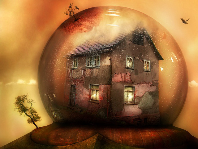 House glass ball tree bird free wallpaper for desktop - medium preview image