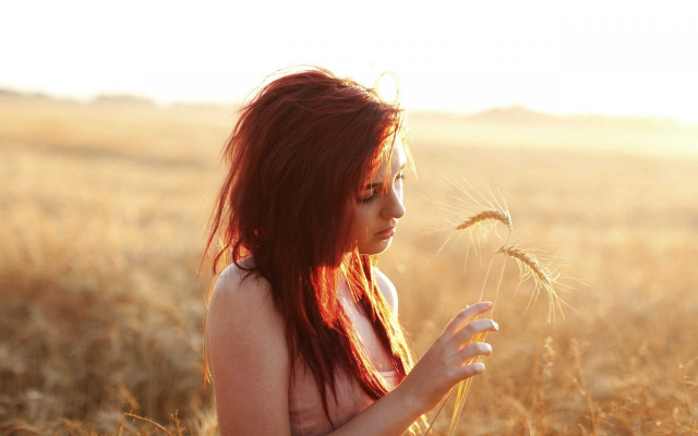 Woman field dandelion wind hands free wallpaper for desktop - medium preview image