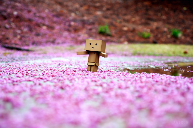 Cardboard character field flowers pond free wallpaper for desktop - medium preview image