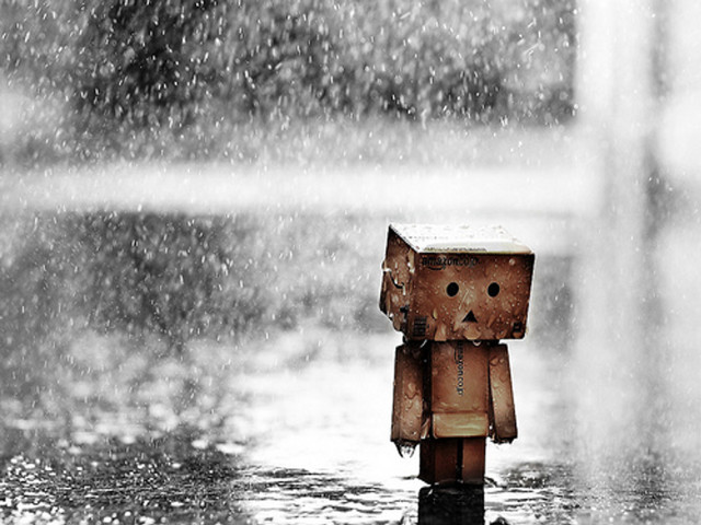 Little robot rain umbrella street free wallpaper for desktop - medium preview image
