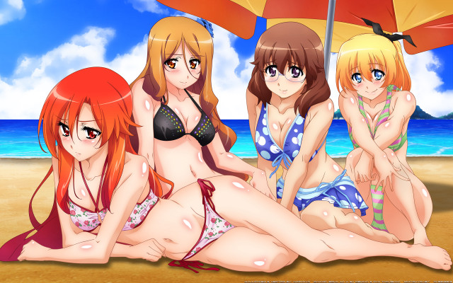 Three girls bikinis beach umbrella free wallpaper for desktop - medium preview image