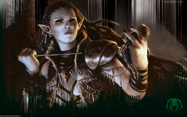 Woman armor sword dark green free wallpaper for desktop - medium preview image