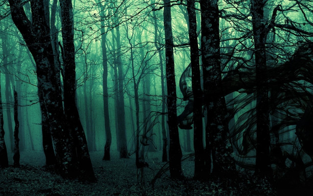 Dark forest trees leaves fog free wallpaper for desktop - medium preview image