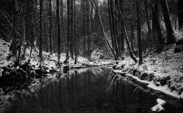 Winter forest stream bw nature free wallpaper for desktop - medium preview image