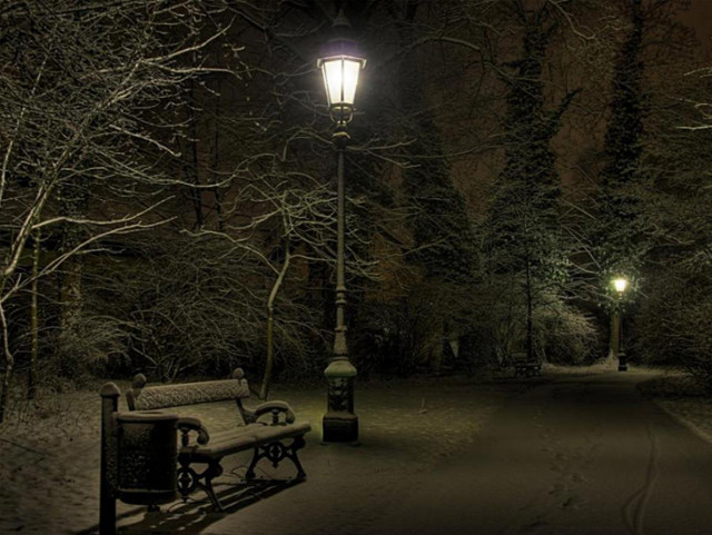 Bench snowy park night street free wallpaper for desktop - medium preview image