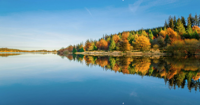 Lake trees blue sky plane free wallpaper for desktop - medium preview image