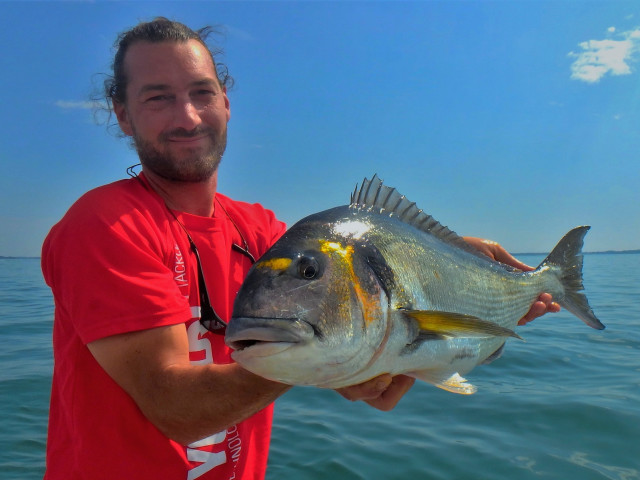Man fish boat sky beach free wallpaper for desktop - medium preview image