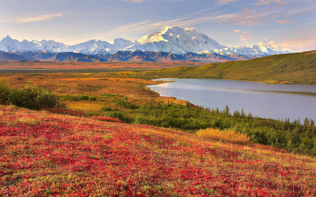 Mountain lake redflowers evening sunset free wallpaper for desktop - medium preview image
