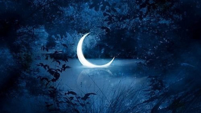 Crescent moon night sky forest free wallpaper for desktop - medium preview image