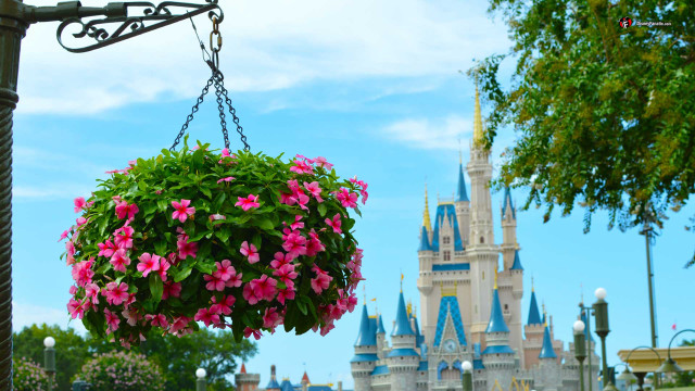 Hanging flower pot castle sky free wallpaper for desktop - medium preview image