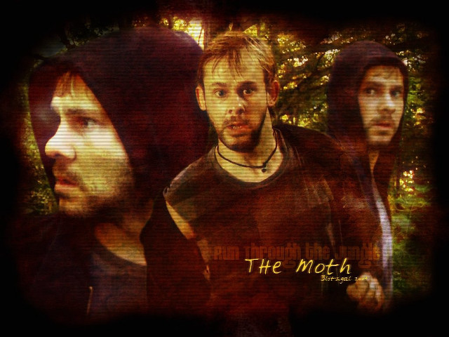 Men standing forest trees group free wallpaper for desktop - medium preview image