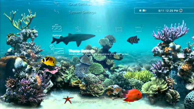 Computer screen fish corals starfish #2 free wallpaper for desktop - medium preview image