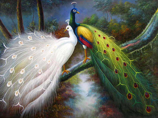 Peacocks tree branch water stream free wallpaper for desktop - medium preview image