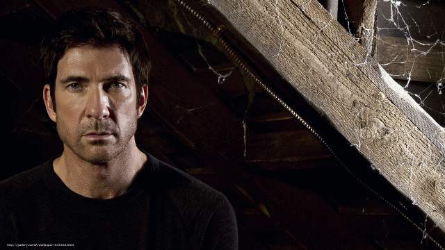 Man wooden structure spider web free wallpaper for desktop - medium preview image