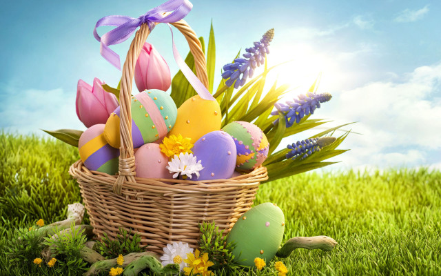 Basket filled eggs green field #2 free wallpaper for desktop - medium preview image