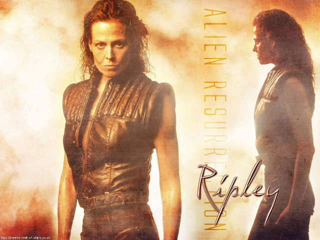 Man woman leather outfits sky free wallpaper for desktop - medium preview image