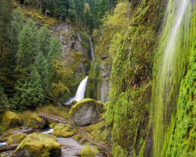 Waterfall bridge forest moss rocks free wallpaper for desktop - medium preview image