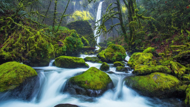 Lush green forest stream waterfall #4 free wallpaper for desktop - medium preview image