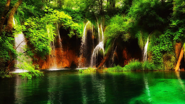 Waterfall forest green water trees free wallpaper for desktop - medium preview image