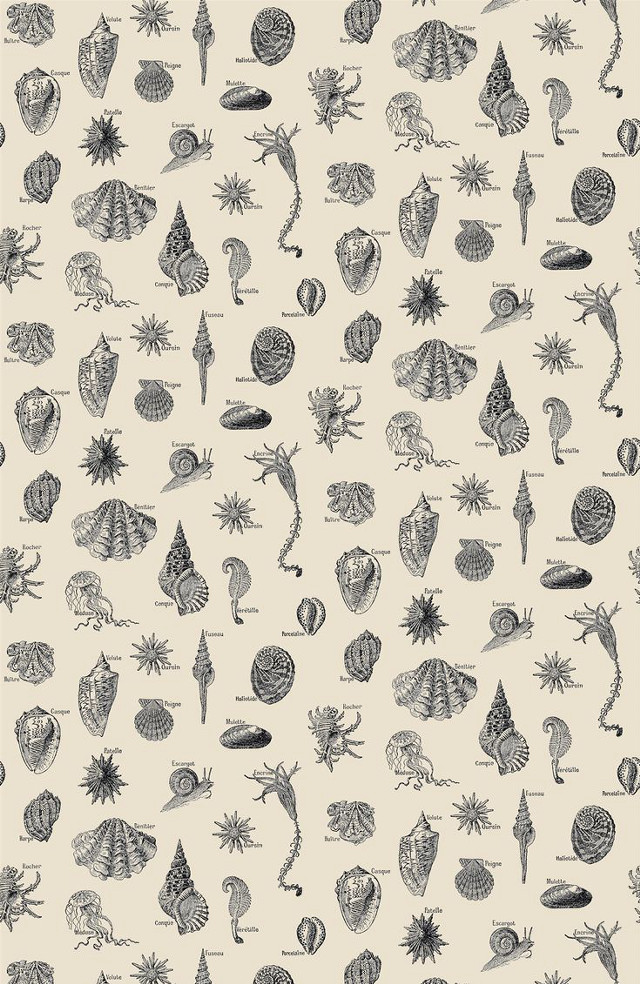 Sea animals pattern white background free wallpaper for mobile - medium preview image