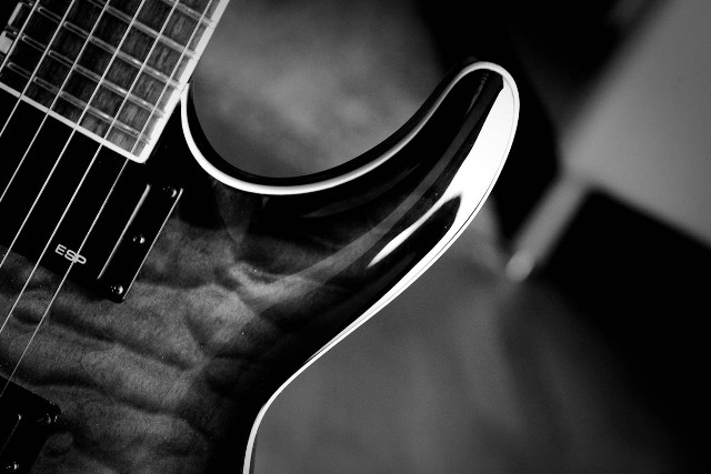 Guitar neck neckplates black white free wallpaper for desktop - medium preview image