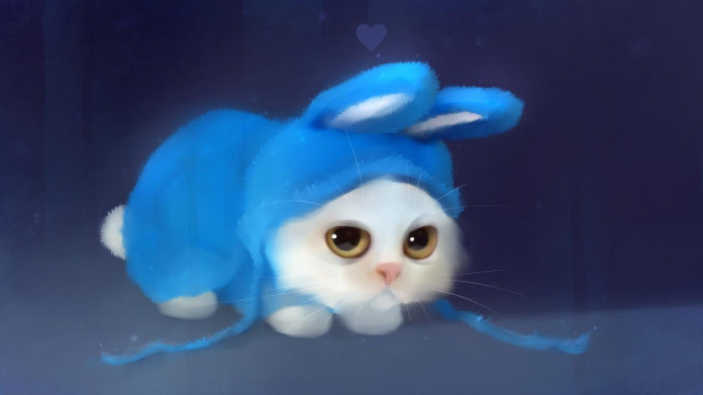 Cat blue hat sad looking free wallpaper for desktop - medium preview image