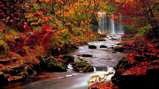 Autumn stream forest waterfall leaves free wallpaper for desktop - medium preview image