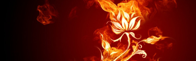 Red yellow fire flower black free wallpaper for desktop - medium preview image