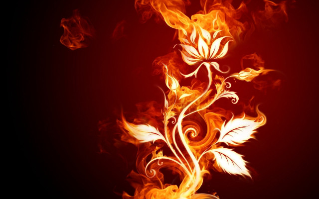 Fire flower swirls leaves black #2 free wallpaper for desktop - medium preview image