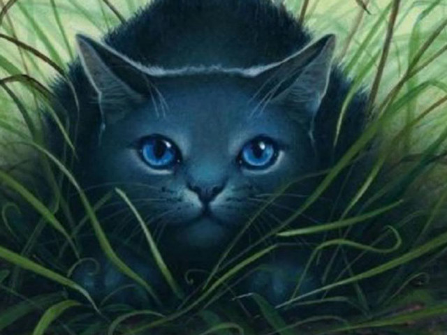 Cat blue eyes hiding grass free wallpaper for desktop - medium preview image